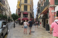 04-06-A Visita Palma Mallorca (08)