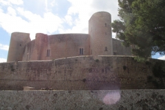 05-06-C Foto comiat a Castell Bellver (8)